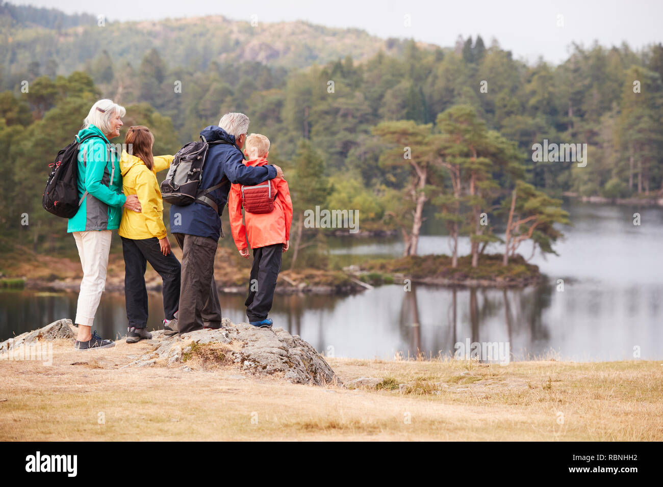 Abuelos y nietos de pie sobre una roca, admirando la vista de un lago, vista posterior, Lake District, RU Foto de stock