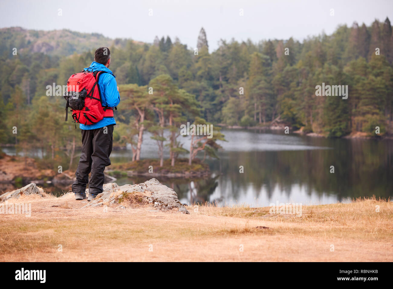 Un varón de mediana edad de pie sobre una roca, admirando las vistas al lago, vista posterior Foto de stock