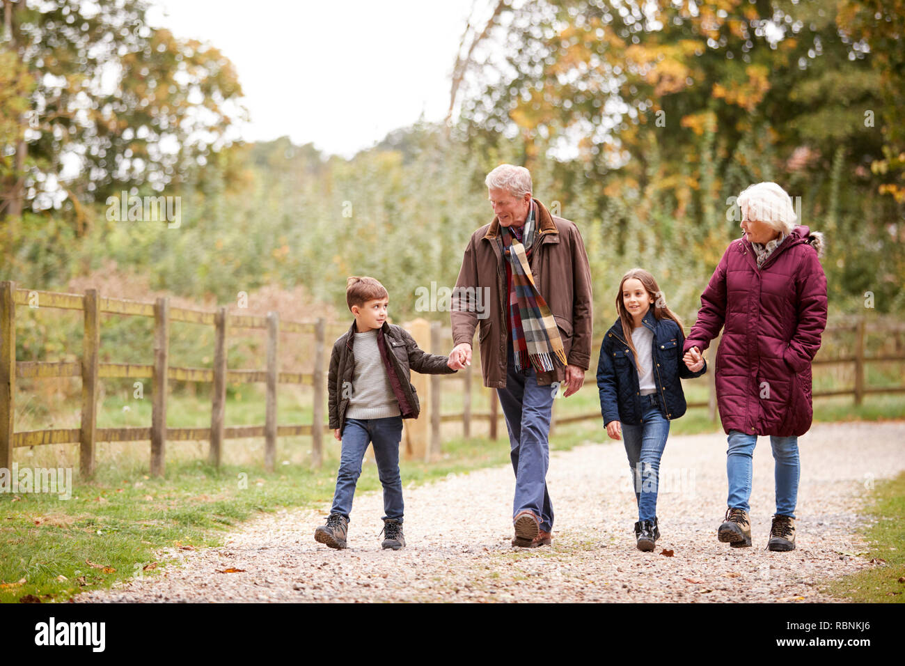 Los abuelos con sus nietos en otoño de caminar juntos en el campo Foto de stock