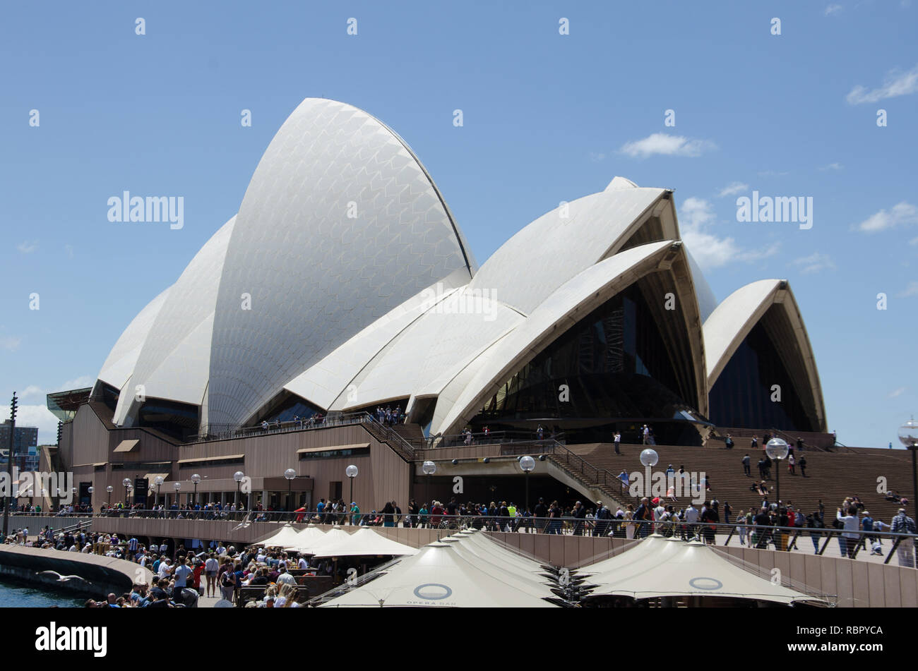 El techo de la icónica Opera House de Sydney aparece un poco distorsionada en esta vista desde el otro lado del puerto Foto de stock