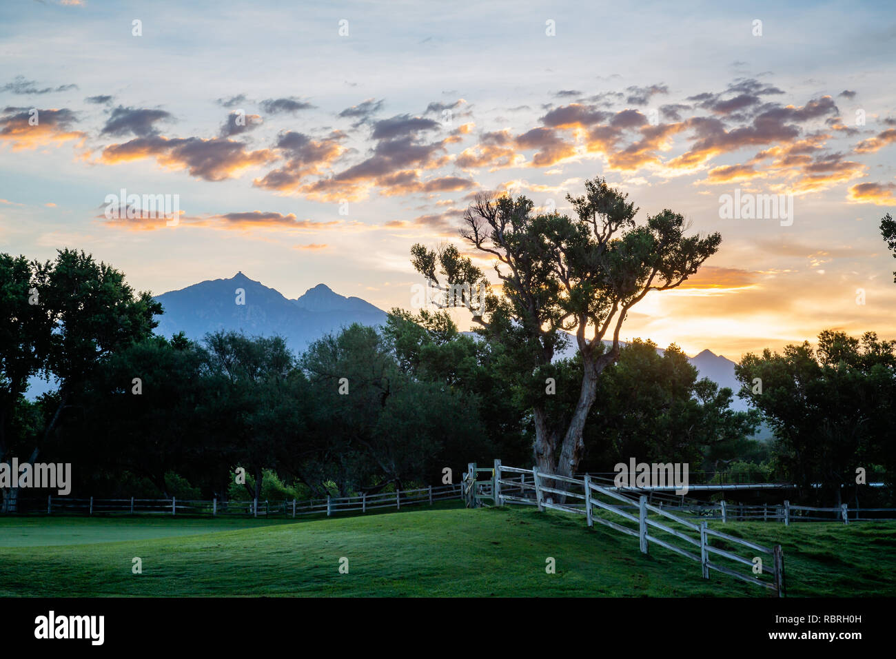 El cruce entre pastos y campo de golf con un telón de fondo de montañas y el amanecer. El sur de Arizona. Foto de stock