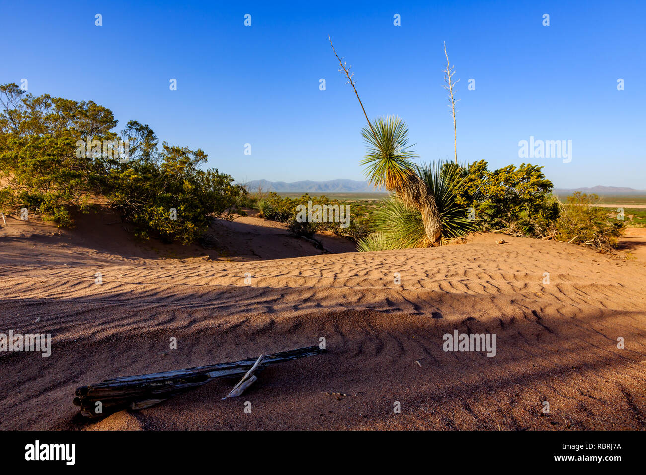 Así calientes dunas skyprovide único hábitat del desierto y oportunidades recreativas. El sur de Arizona. Foto de stock