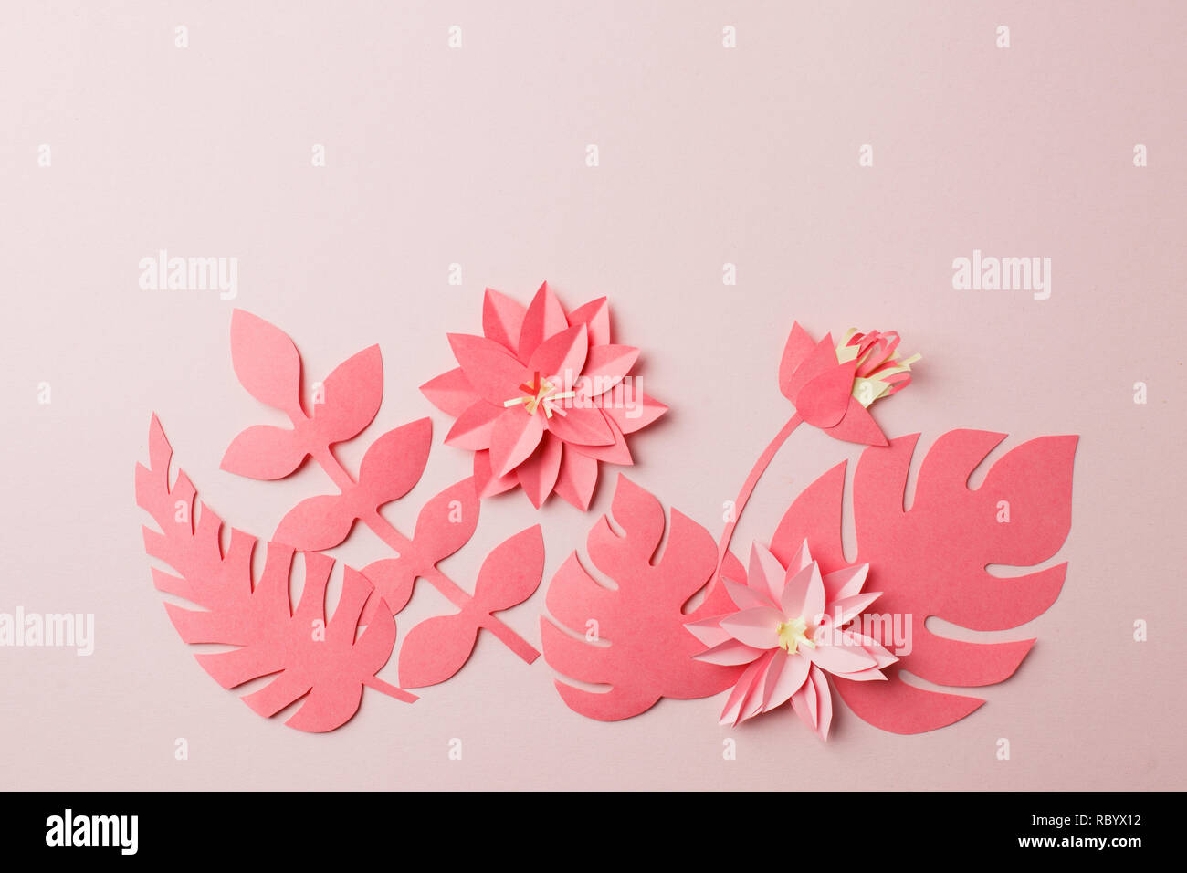 Patrón de papel decorativo artesanal de tropical monocromo flor deja en el  fondo de color rosa pastel con espacio de copia. Vista desde arriba.  Concepto de colar en vivo Fotografía de stock -