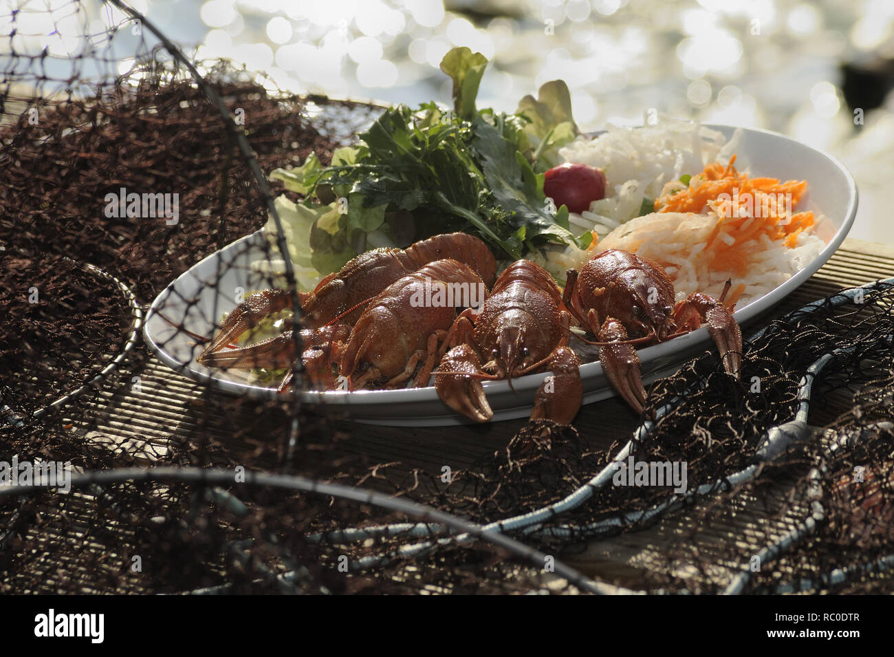 Mit Flusskrebse gemischtem Salat | Unión de langostinos, Astacus astacus, con ensalada mixta, langostas, mudbug, crawdad, crawdaddy Foto de stock