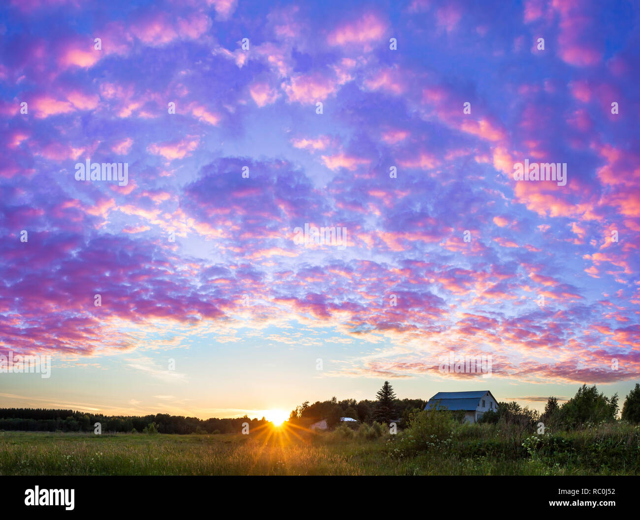 Hermoso paisaje de verano rural panorama con sunset. Violeta paisaje con nubes en el cielo, vista panorámica Foto de stock