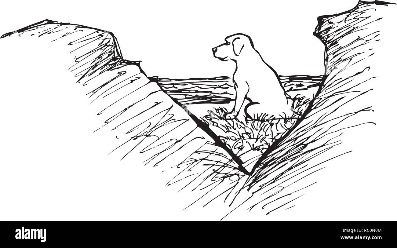 Boceto de un labrador sentado en la playa por jziprian Ilustración del Vector