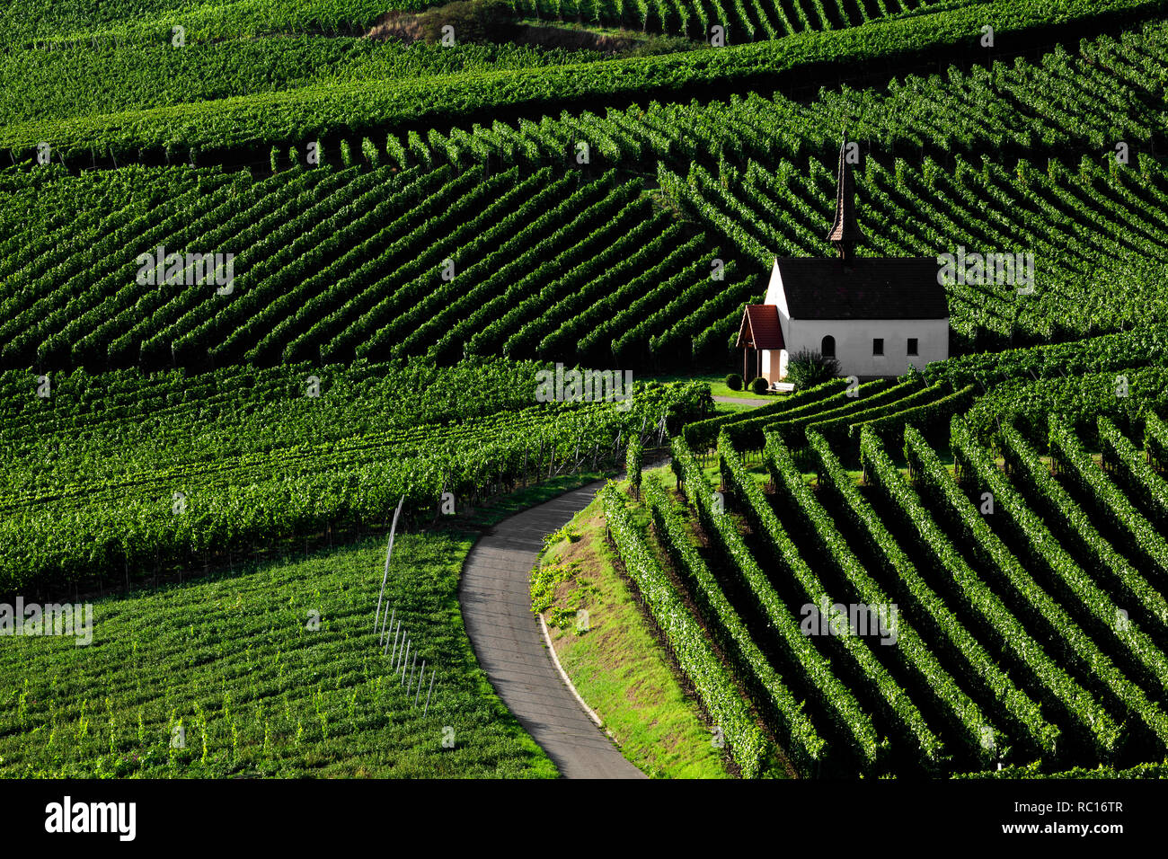Capilla de los viñedos, Kapelle, Jechtingen Eichert, Kaiserstuhl, Alemania Foto de stock