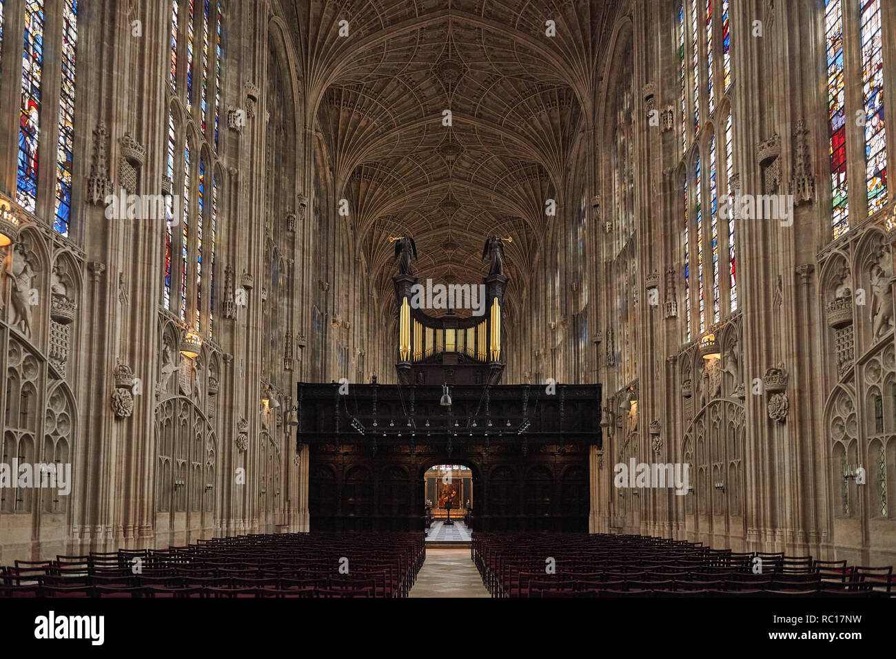 Interior de la capilla de King's College en el King's College de la Universidad de Cambridge Foto de stock