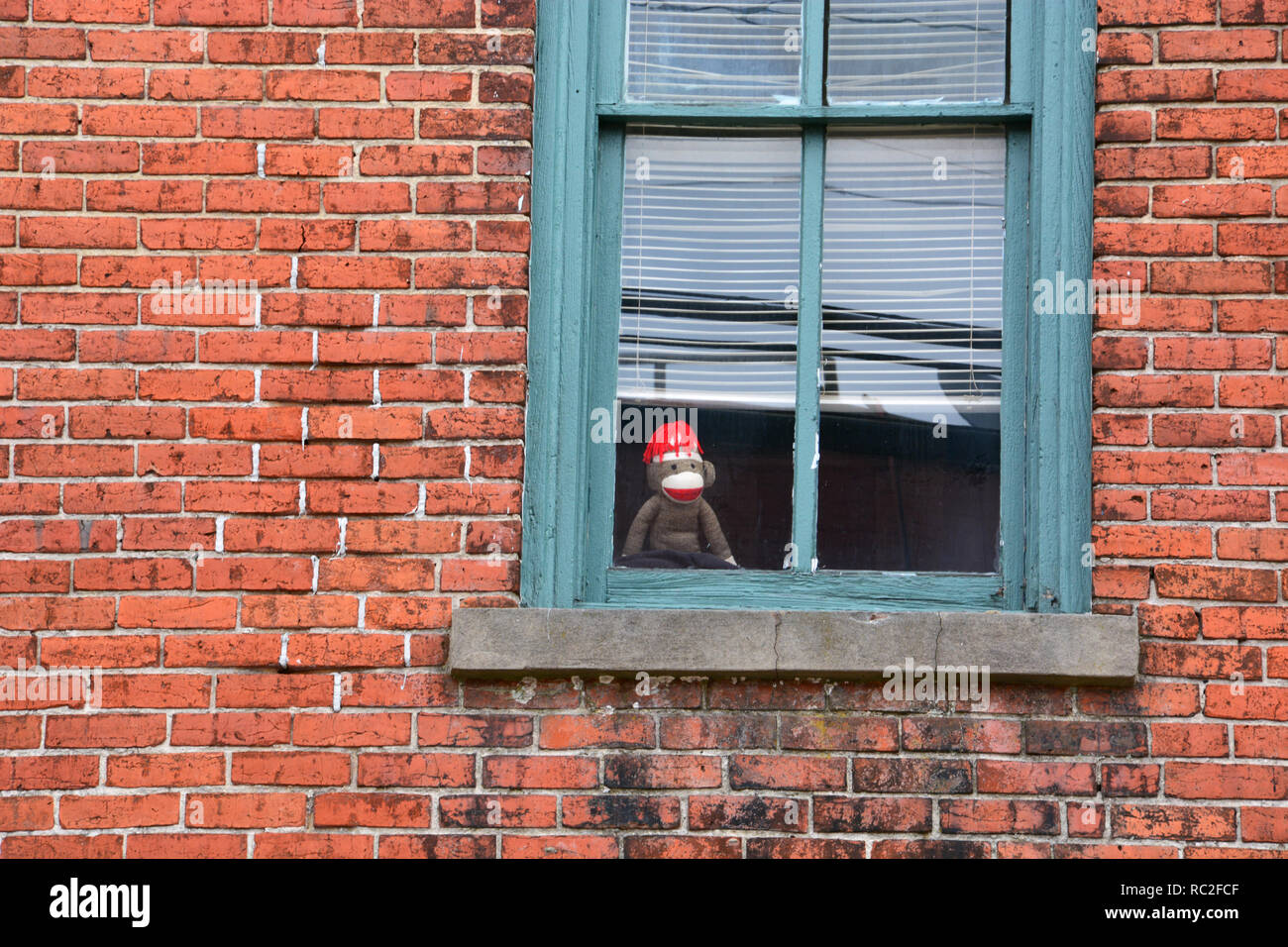Un mono de peluche parecido a Jorge El Curioso mira por la ventana de un viejo edificio de apartamentos. Foto de stock
