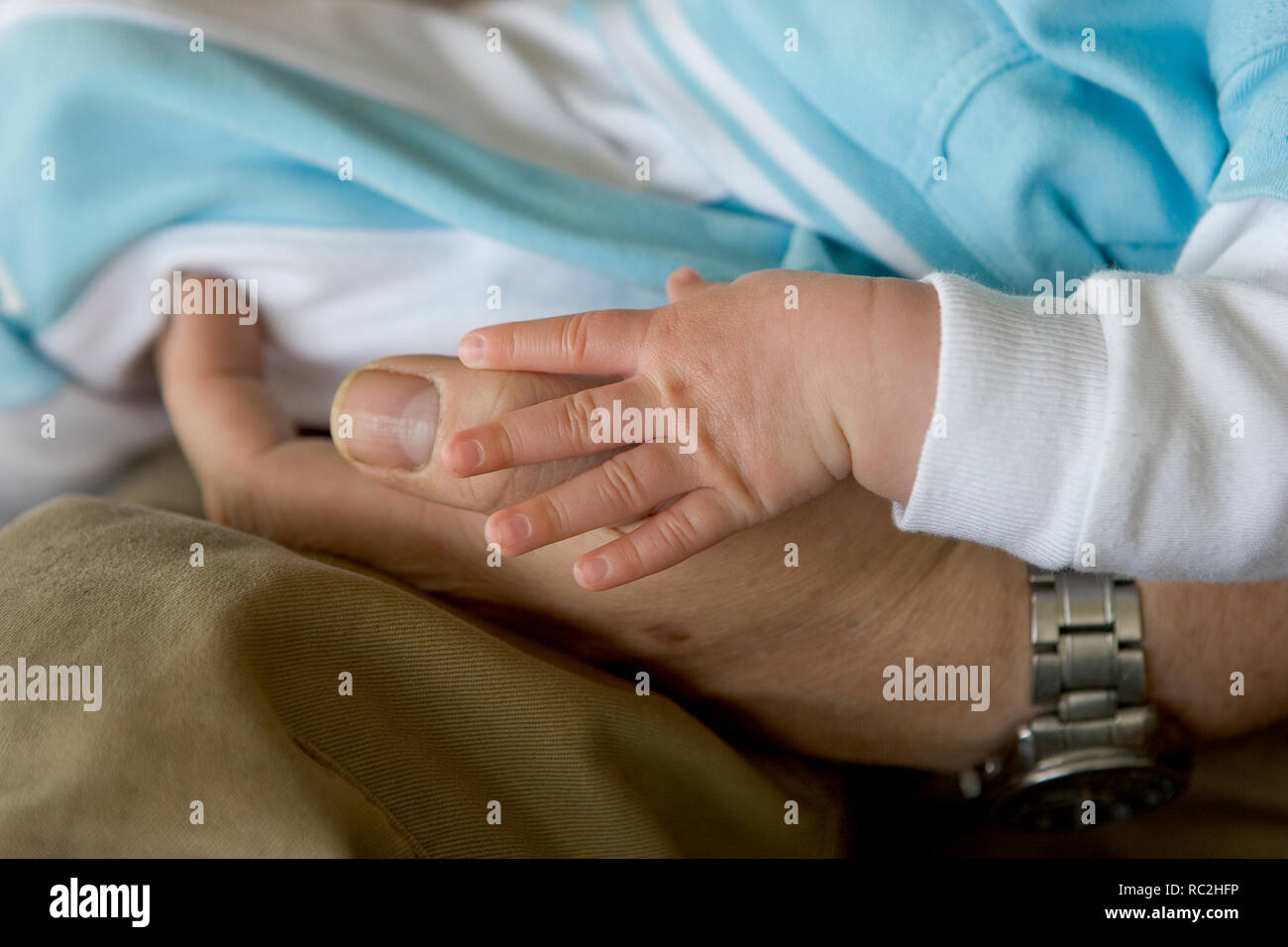 Cerca de un bebé mano toque mano adulta juntos Foto de stock