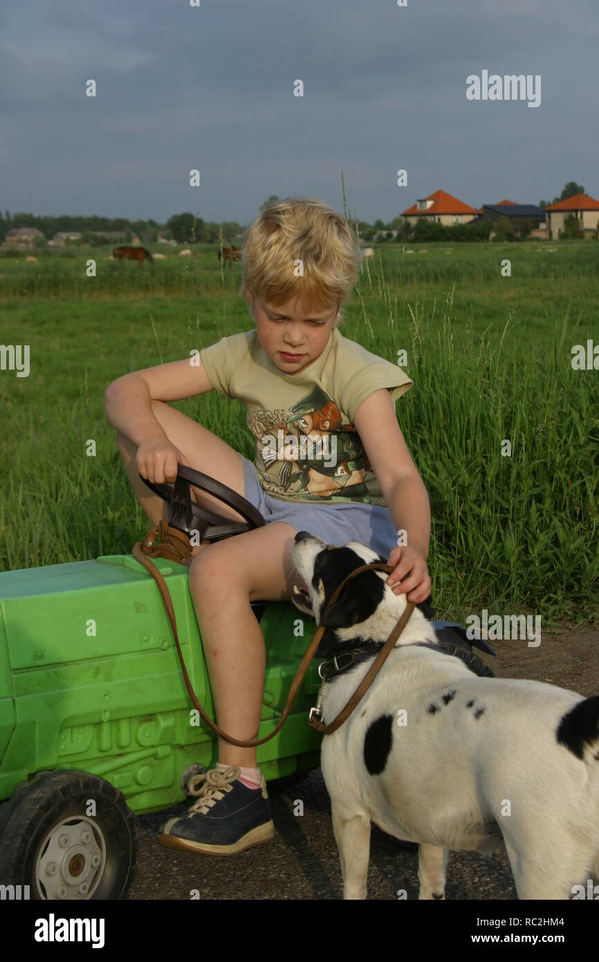 Boyish girl en tractor de pedales de plástico en el campo en verano con perro Foto de stock