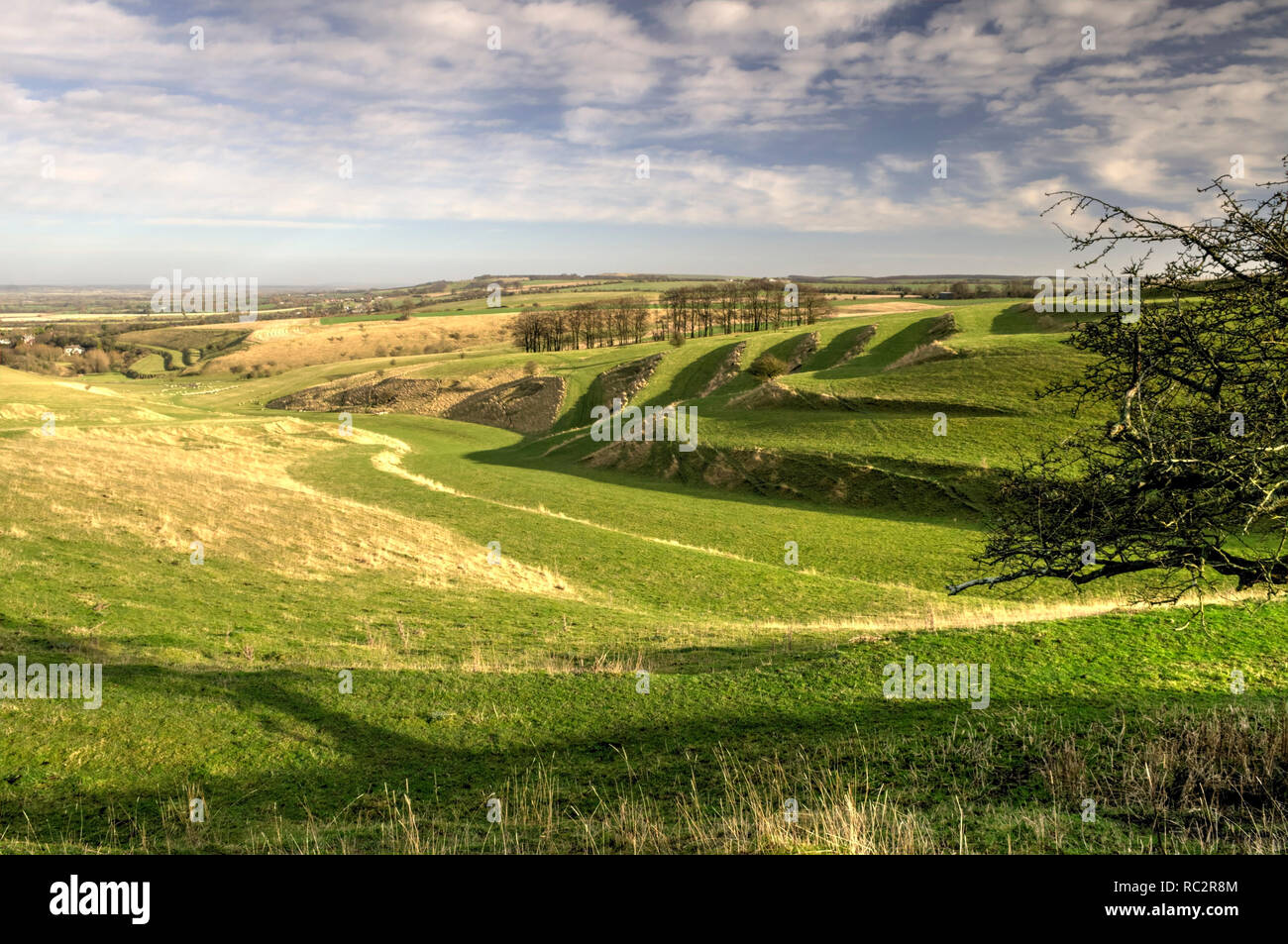 Tira sobre la ladera lynchets cerca Bishopstone, Norte de Wiltshire. Foto de stock