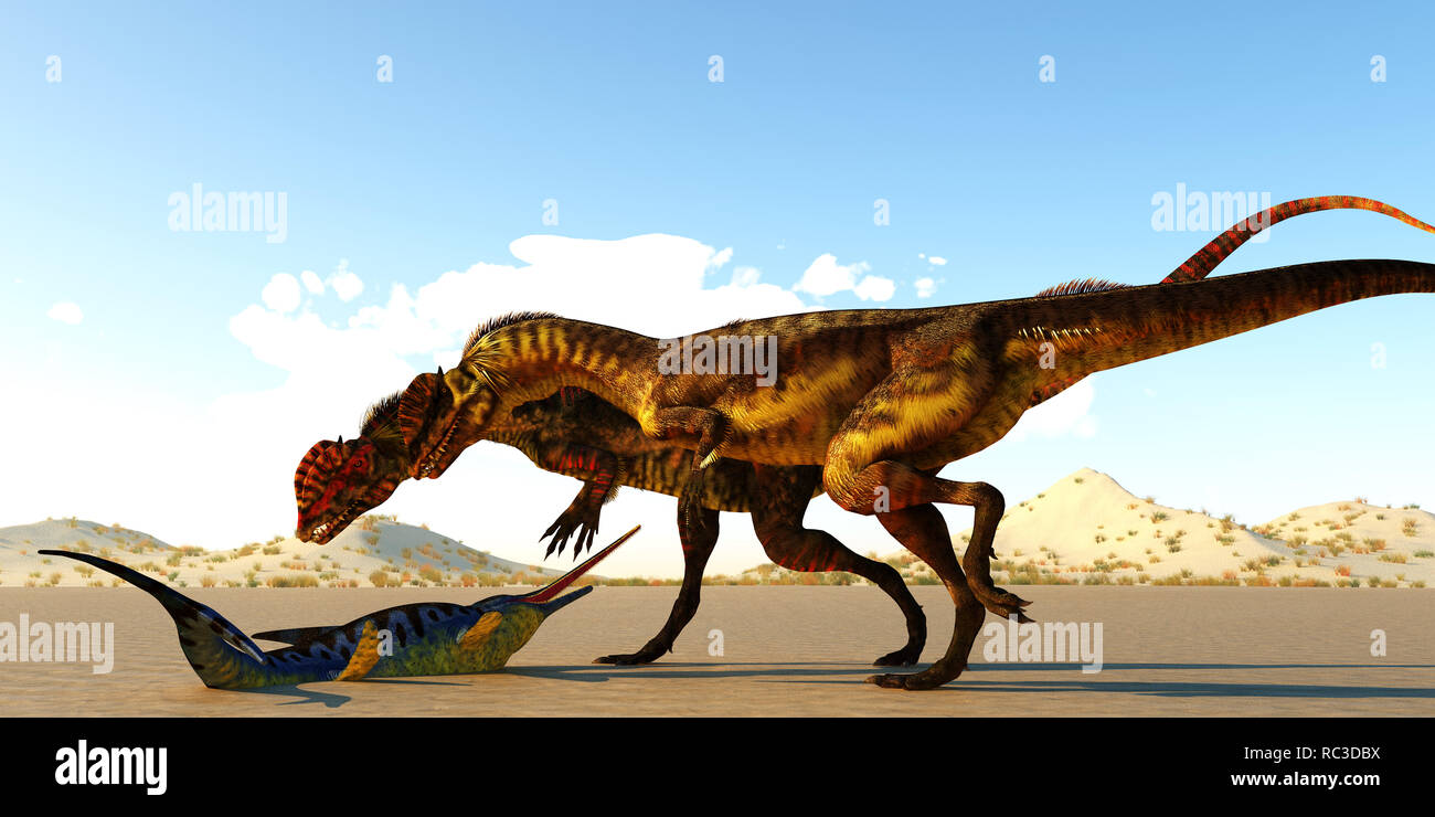 Dinosaurios acuaticos fotografías e imágenes de alta resolución - Alamy Dinosaurios acuaticos fotografías e imágenes de alta resolución - Alamy
