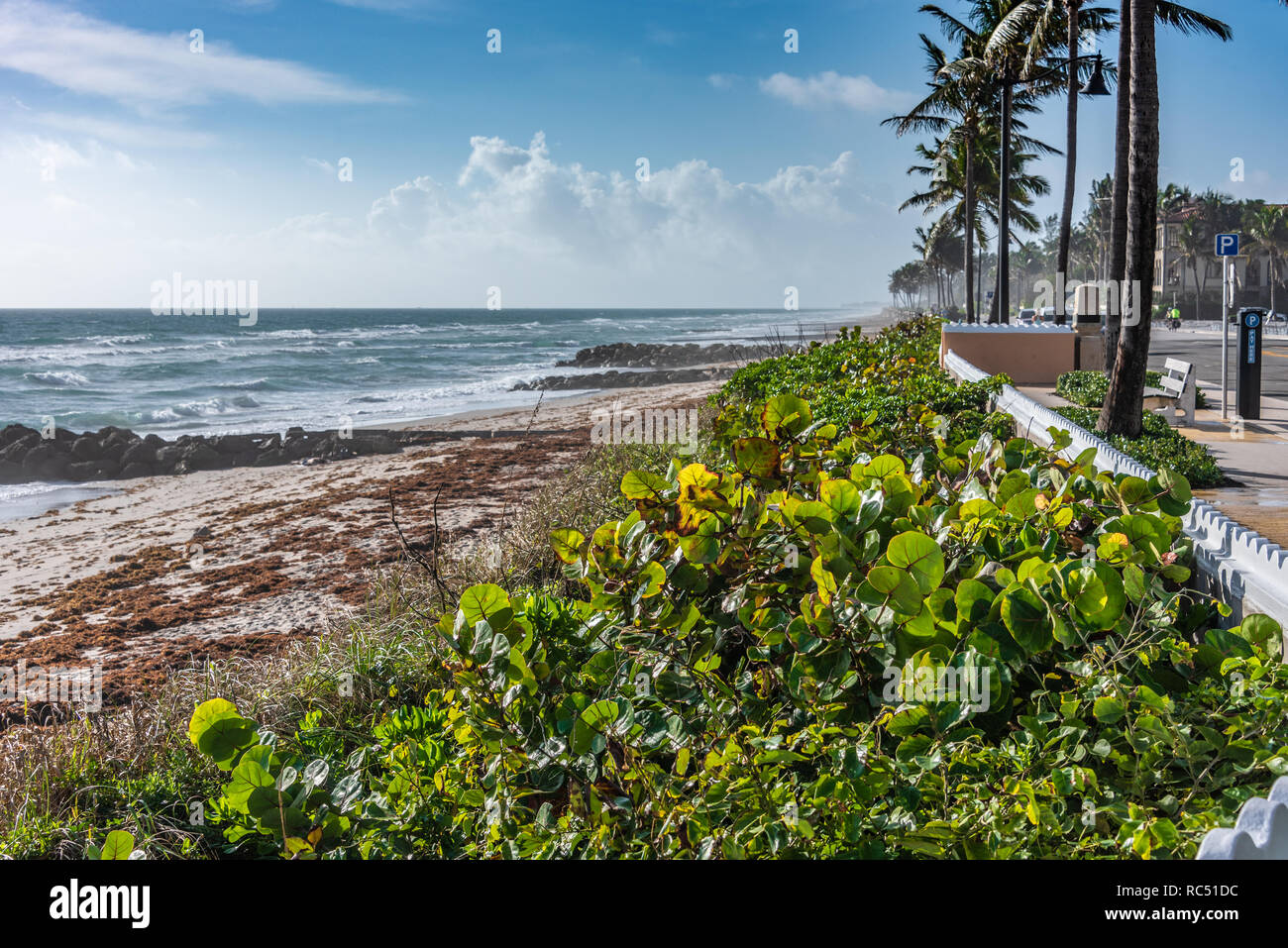 Playa Pública cerca Worth Avenue en Palm Beach, Florida. (Ee.Uu.) Foto de stock