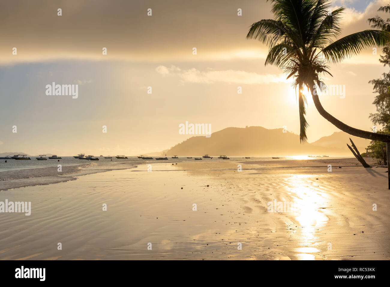 Hermoso amanecer sobre la playa tropical de la isla caribeña. Foto de stock