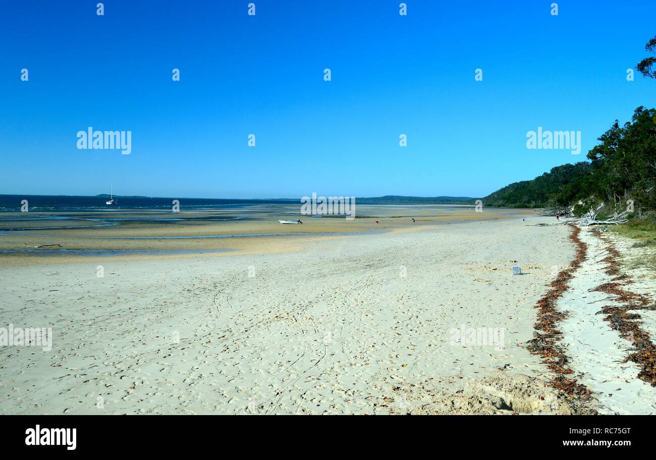 Kingfisher Bay beach, Fraser Island, Australia Foto de stock