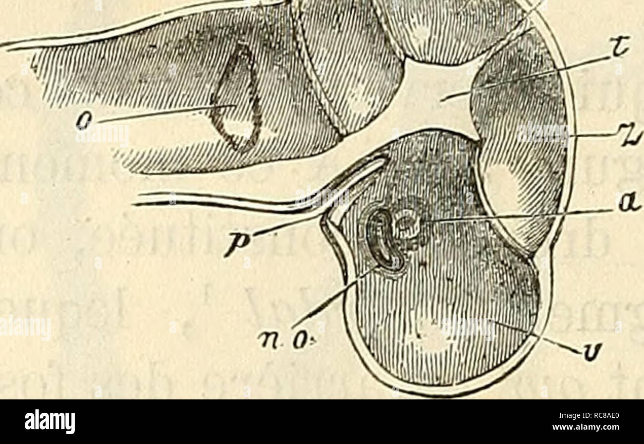 F 264 Fotos E Imagenes De Stock Pagina 11 Alamy