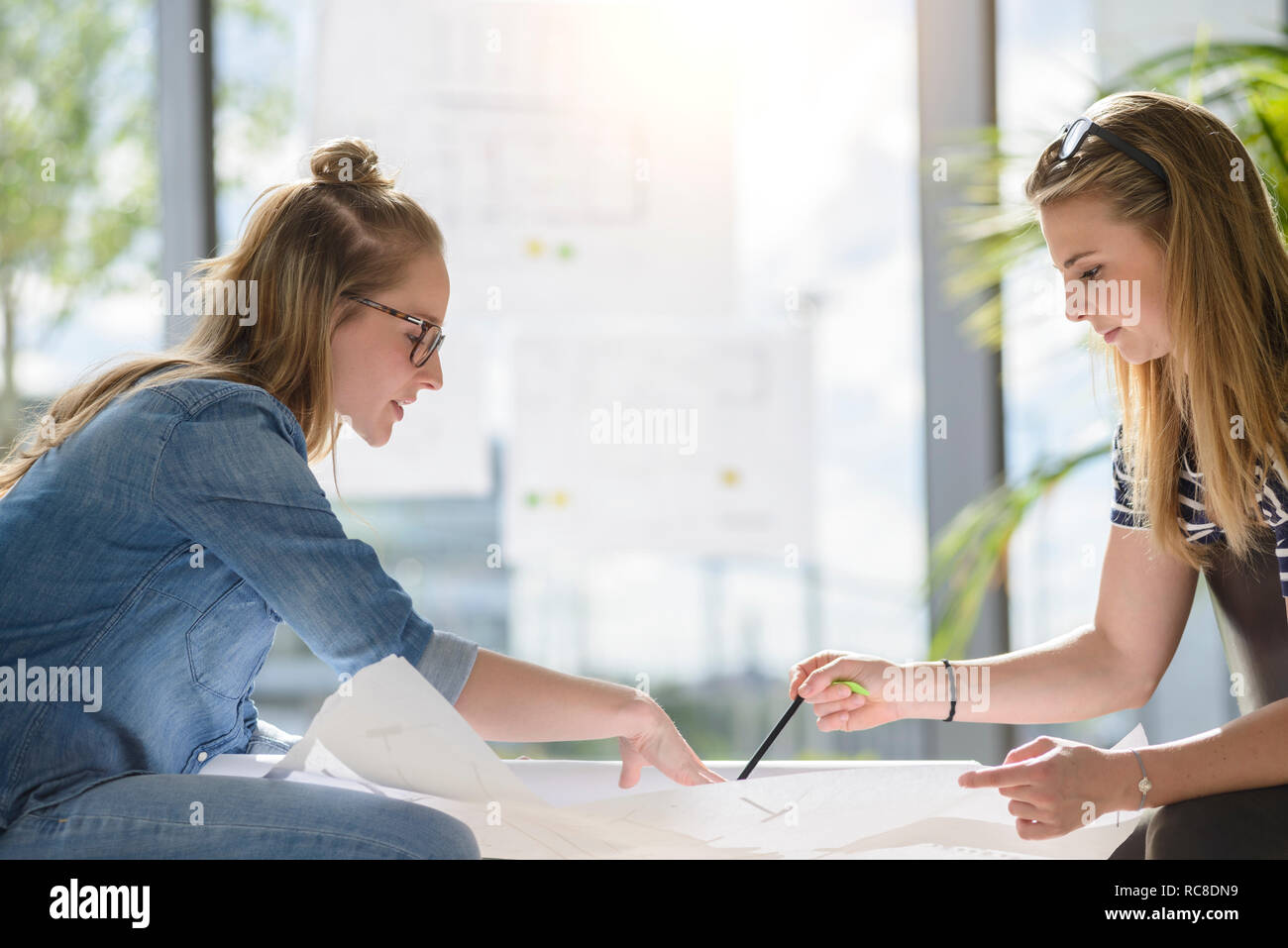Los colegas de ideas a través de gráficos en la brillante luz del sol Foto de stock