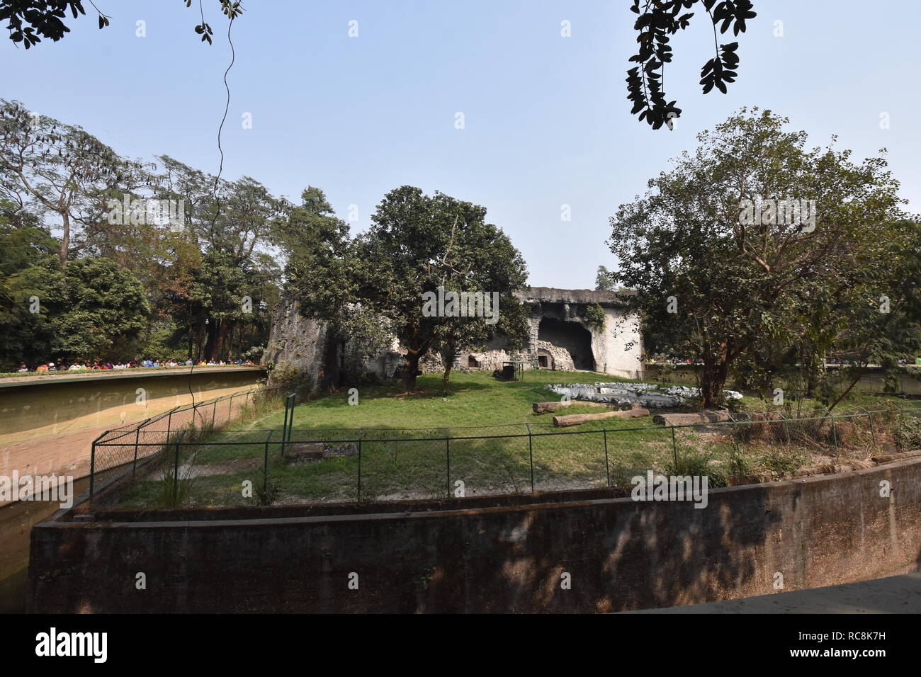 Tiger salón del jardín zoológico Alipore en Kolkata, India Foto de stock