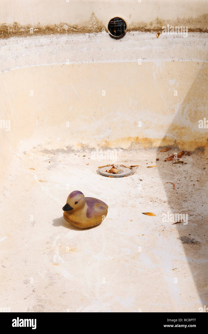 Pato de plástico en el baño vacío utilizado para recoger el agua de lluvia para el jardín. Toda el agua ha sido utilizada durante un prolongado periodo de sequía. Foto de stock