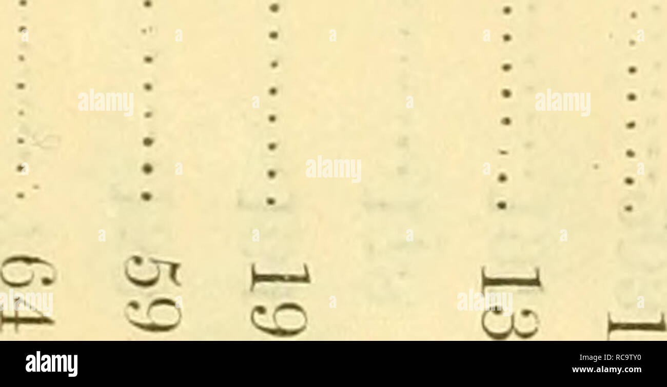 Dobutsugaku Zasshi Zoologia Zoologia Ae ªa C C A A E Aºca Ae Ca Ae Ea A Ae Ae Stiasny G Snles C W 2 Rand E I 625 I 6 I 878 I 618 I 868 Van J3mden F W A Wat Teh Watson M S Los