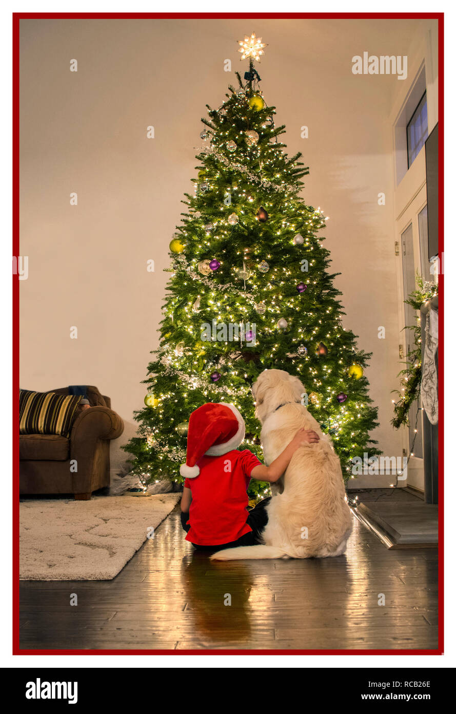 ÁRBOL DE NAVIDAD PERRO NIÑO LUCES MAGIA AMISTAD EN CASA Niño joven con un sombrero de Santa con su perro mascota sentado junto a su nuevo árbol de Navidad iluminado en el interior de casa. Un momento mágico... Foto de stock