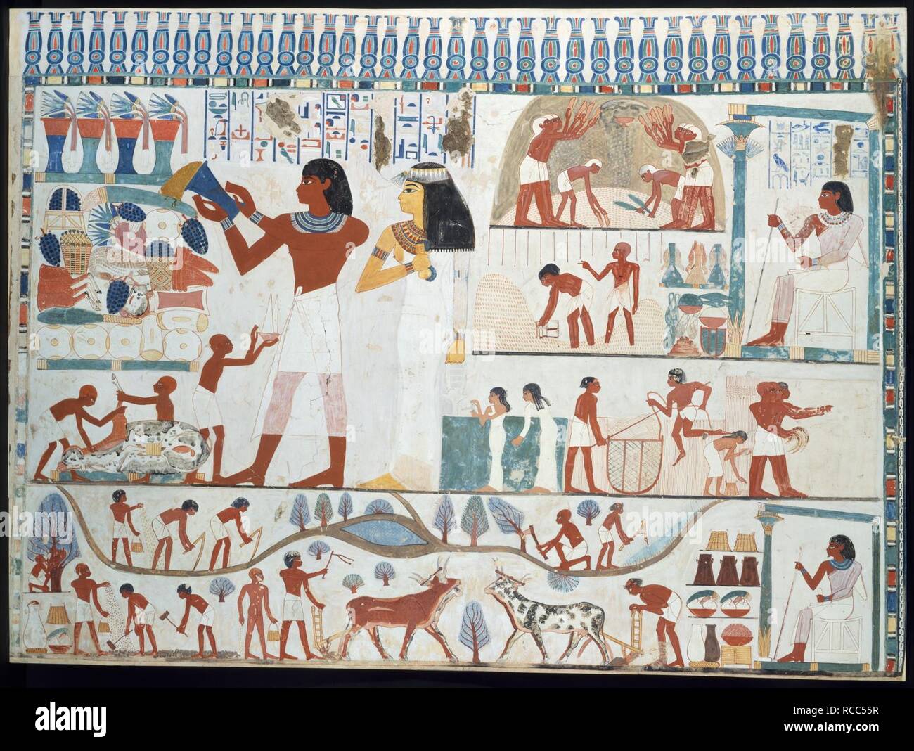 Escenas Agr colas Tumba De Nakht Fotograf a De Stock Alamy