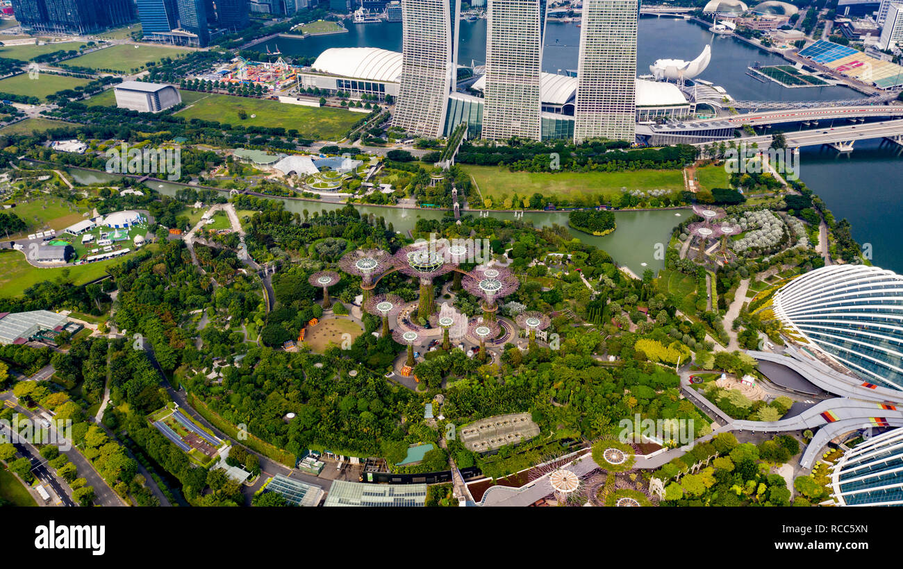 Supertree Grove, jardines junto a la bahía, Singapur Foto de stock