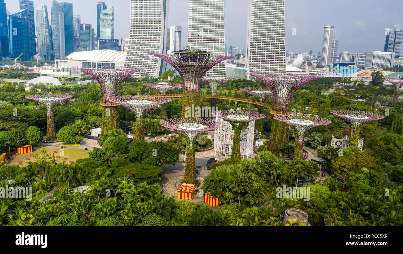 Supertree Grove, jardines junto a la bahía, Singapur Foto de stock