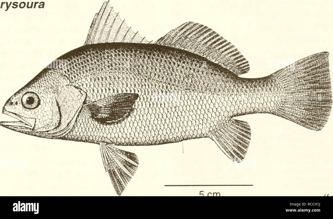 . Distribución y abundancia de peces e invertebrados en los estuarios
