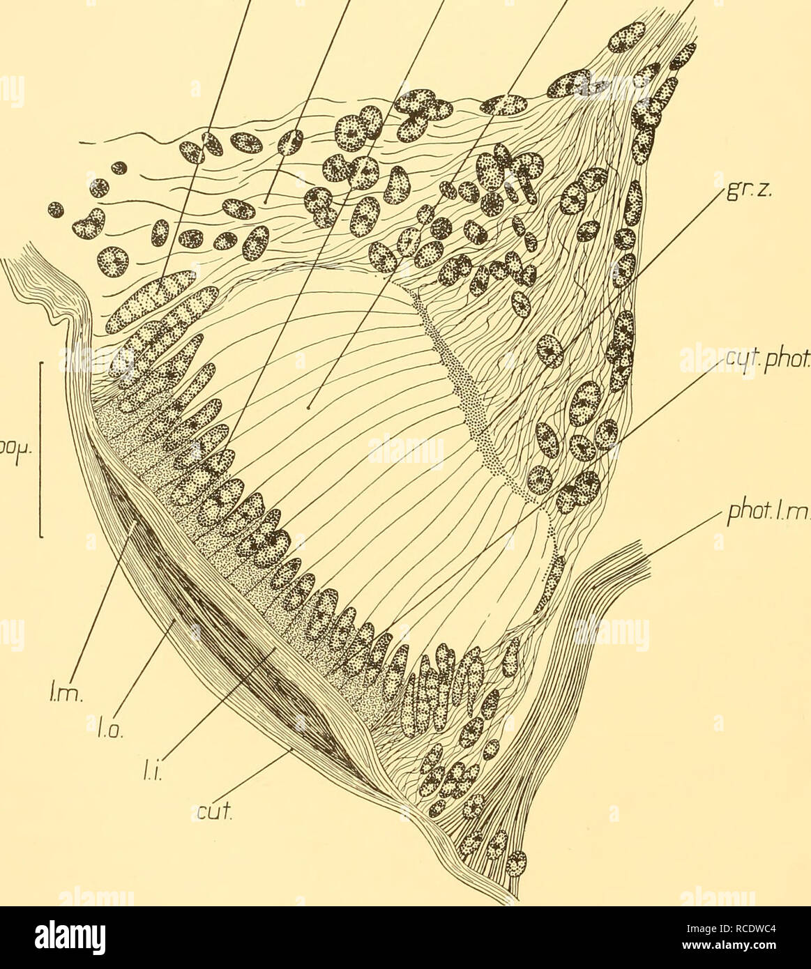 53 Gambar Setan Di Maps Gratis Terbaru