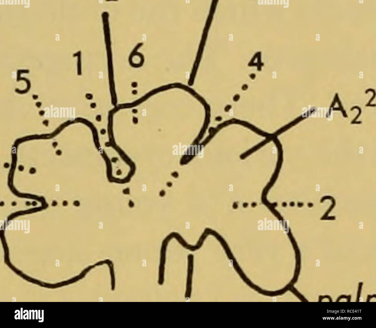 . Informes de descubrimiento. Discovery (Barco); expediciones