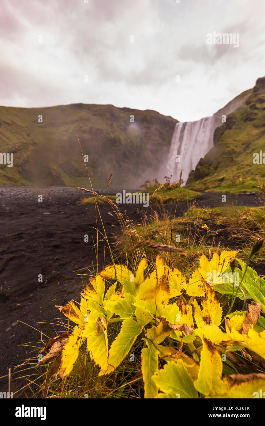 Islandia, viajes de una semana Foto de stock