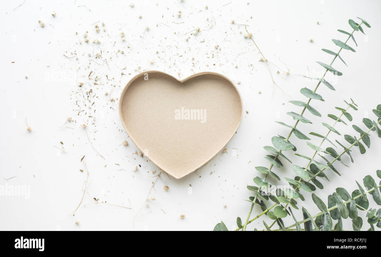 Caja Con Forma De Corazon Bebe Rama De Eucalipto Sobre Fondo Blanco De Mesa Fotografia De Stock Alamy