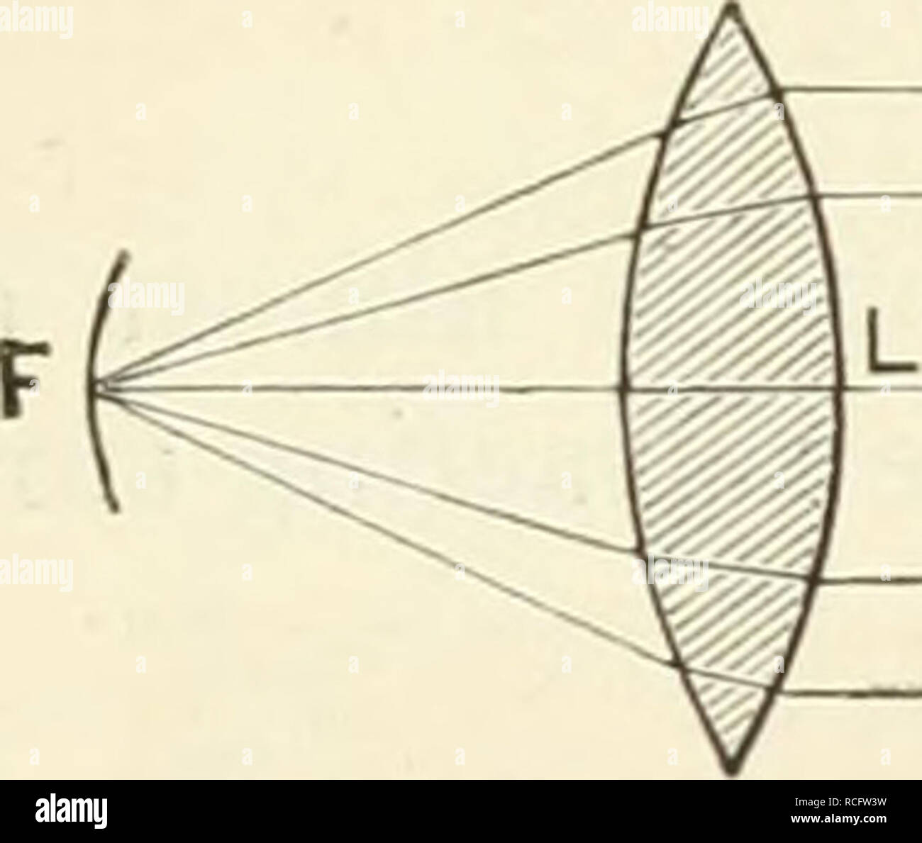 Elementos de fisiología humana. Fisiología. Por medio de una lente convexa  de los rayos de luz provenientes de cualquier fuente puede ser refractada  para reunirse en un punto. El punto en