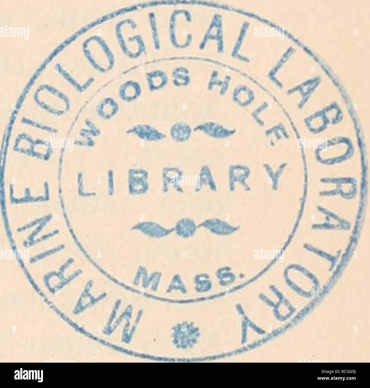 . Die Protozoen als Krankheitserreger des Menschen und der Hausthiere; für Ärzte und Zoologen Thierärzte,,. Rhizopodeii. - Amöben. 9: Gregarinidae Unterordnung Coccididae Haemosporidae Gymnosporidae. b)-dnung Dolychocystida Unteroi: Sarcosporidae. 2. Unterklasse: Amoebogenia. Ordnungen: Nematocystida. Unterordnung: Myxosporidae. III Klasse: F 1 a g e 11. 1. Unterklasse: Euflagelliae. Ordnungen: Monadida, Euglenida, Pliyto- flagelida. 2. , Silicofiagelliae. 8. ^ Dinoflagelliae. 4. " Cystoflagelliae. IV, Klasse: ii s i n f o r i a. 1. Unterklasse: Ciliae. 2. , Tentaculiferiae vel Suctoriae.. Yo Foto de stock