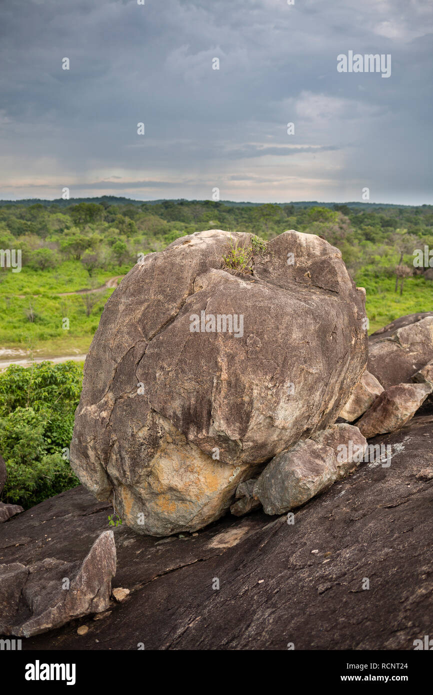 Boulder y el paisaje del Parque Nacional Minneriya, Sri Lanka Foto de stock