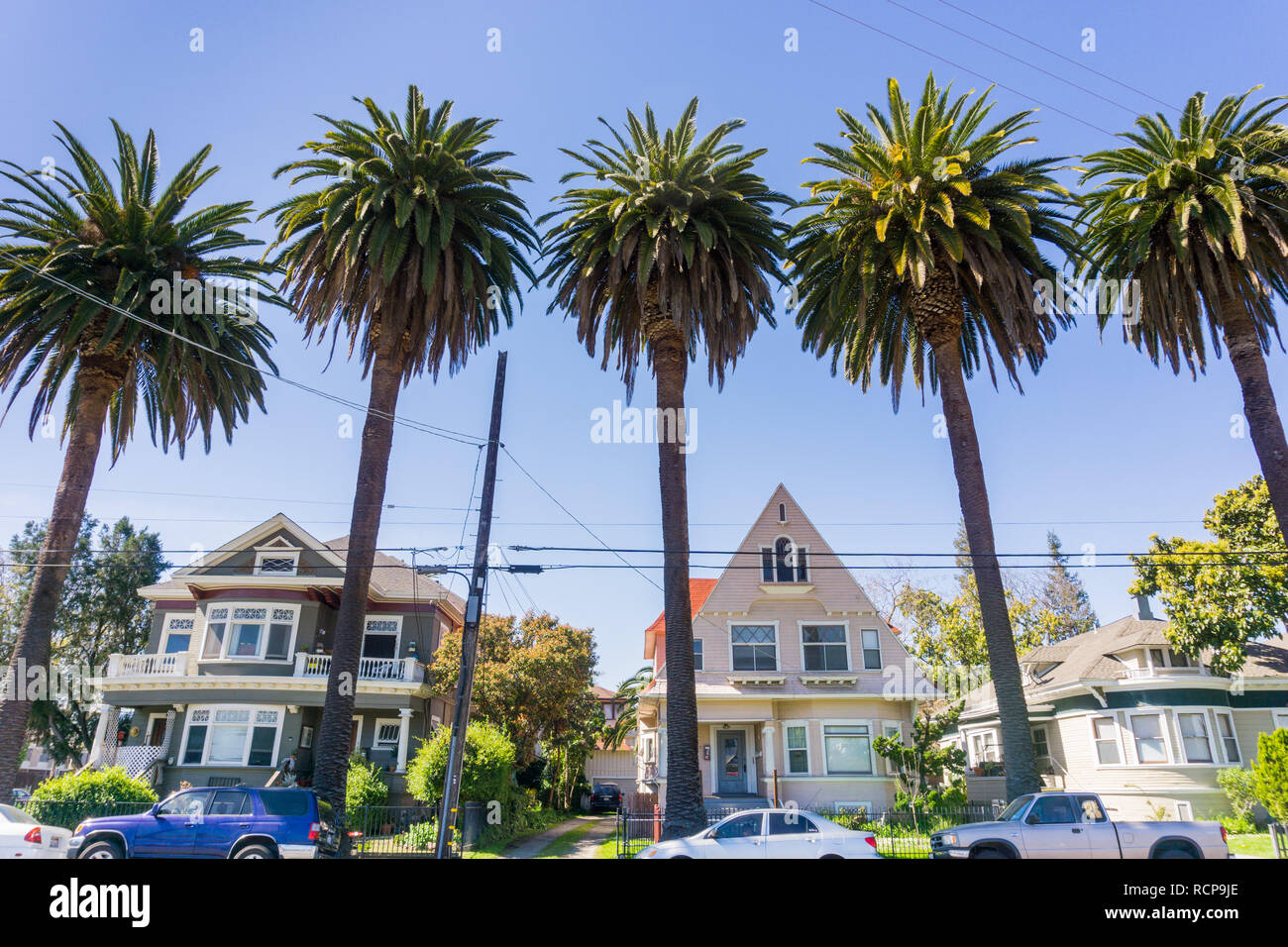 Viejas casas y palmeras en una calle en el centro de San Jose, California Foto de stock
