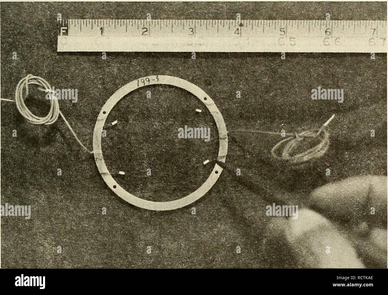 . Desarrollo de un manipulador submarino para uso en una piscina libre sumergibles no tripulados. Manipuladores (Mecanismo); sumergibles oceanográficos. 15. Para proteger el acabado de la armadura y el conmutador superficie, coloque unas 0.005 de pulgada de espesor, tiras de plástico (Mylar) dentro del campo. Deberían extenderse por encima de la armadura para el aferramiento y la eliminación después de la instalación del motor. 16. Doblar los resortes de las escobillas muy cuidadosamente para que queden como se muestra en la figura. Evitar distorsiones. El muelle original posición se muestra en la página opuesta. Coloque un conjunto de pinceles en el conmutador, comprimir suavemente el resto de Brus Foto de stock