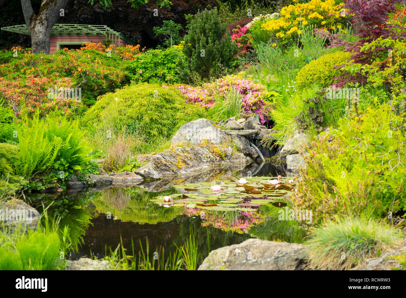 Una vista de la casa de veraneo, como y un estanque de loto en la brillante Abkhazi Abkhazi Garden (Jardín) durante la primavera de 2000, en Victoria, British Columbia, Canadá Foto de stock
