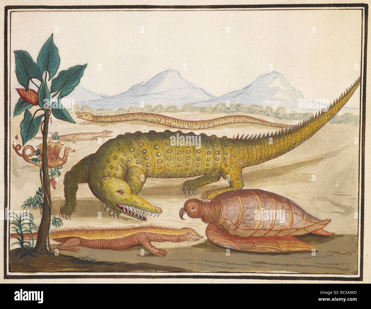 Diversas criaturas, incluyendo a los cocodrilos, tortugas, lagartos y  snales. Anfibios y reptiles. Primera mitad del siglo XVIII. Fuente: Añadir.  5272, . Autor: Edwards, George. Edwards, George Kirkius, E, et al  Fotografía