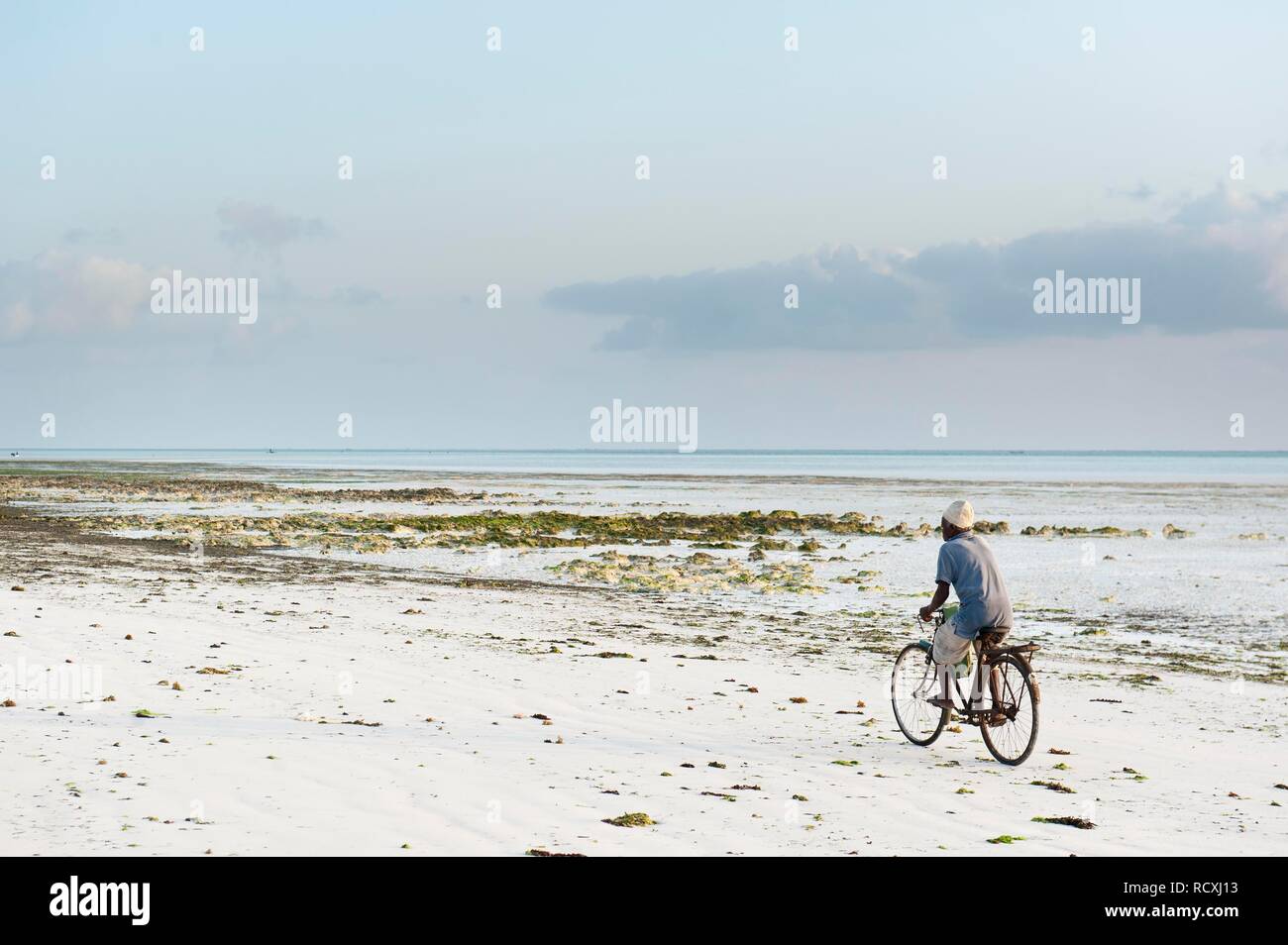 Ciclismo, Ciclismo en la playa, playa de arena blanca, cerca de Jambiani y Paje, Zanzibar, Tanzania Foto de stock