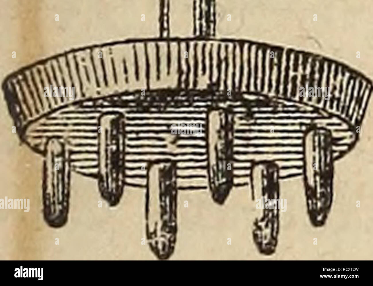 Der Gemu Sebau Anleitung Zur Cultur Der Gemu Se En Garten Und Feld Fu R Landwirthe Ga Rtner Und Gartenfreunde Verduras Ein 93eeg 33ei Ru Fiiaten Faet Hombre En I5 Ddn Ett Bie Ater Eingefullt Etfl F N Erben 3 Ii Ig