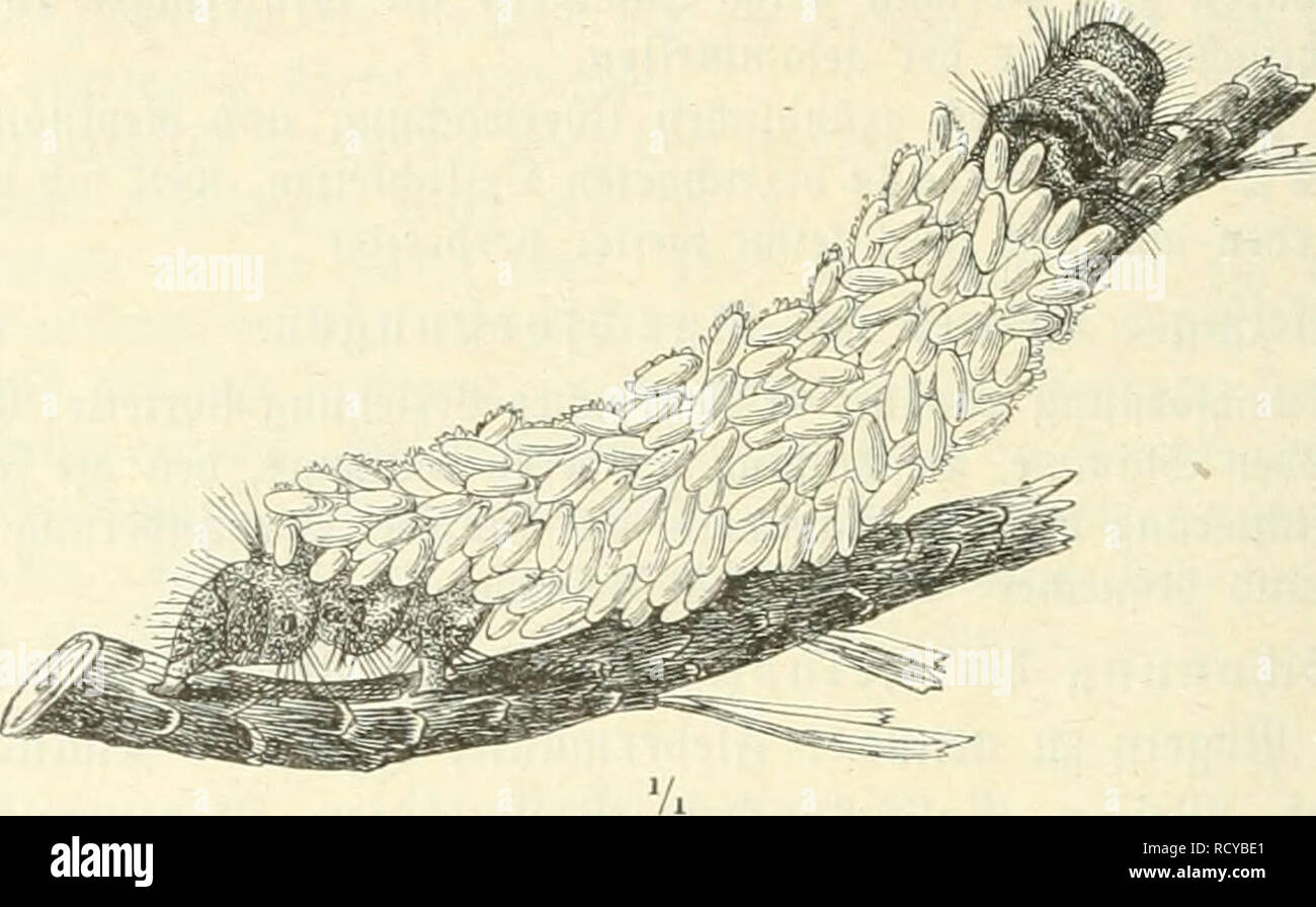 C 17 93 Fotos E Imagenes De Stock Alamy