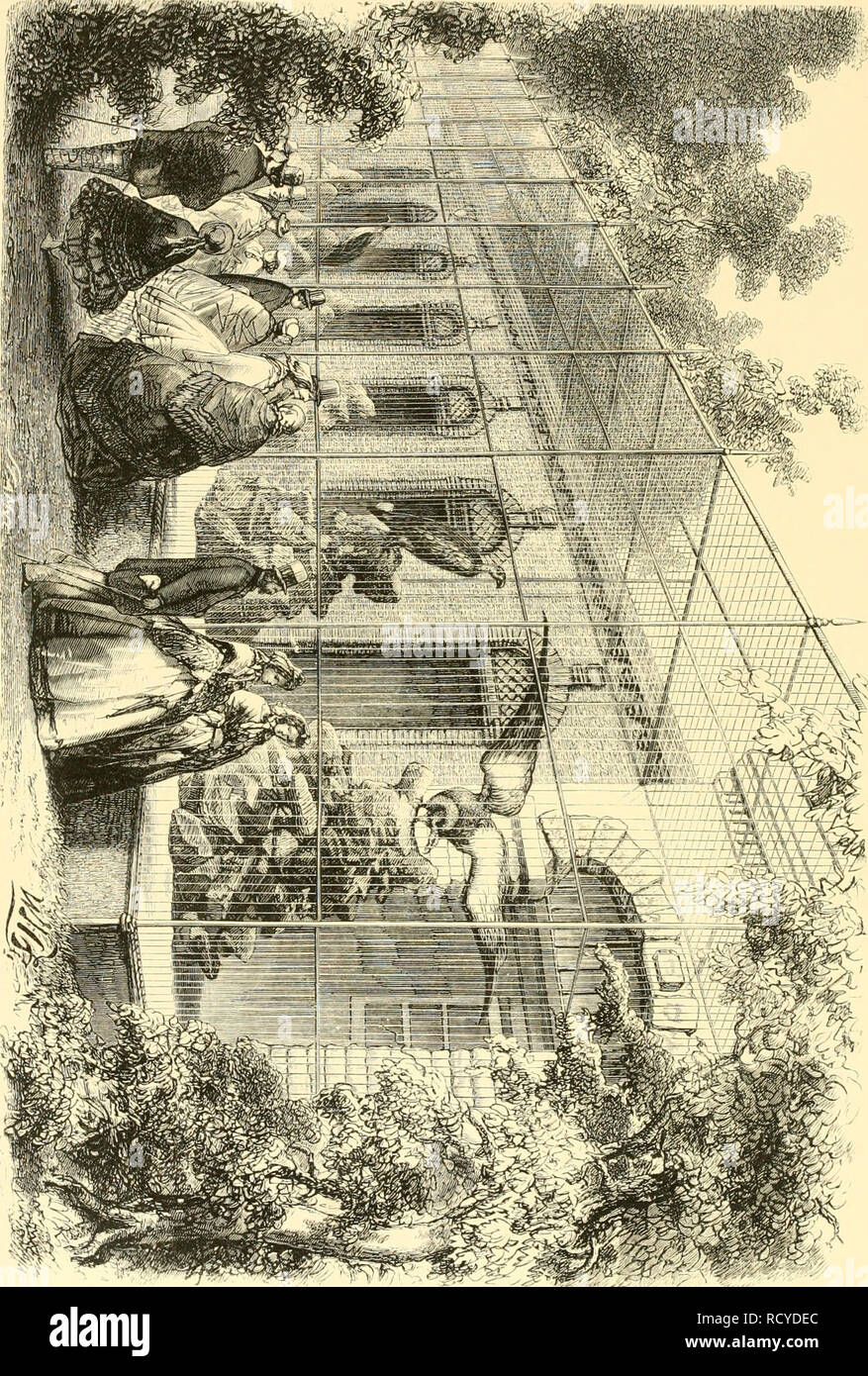 . De Dierentuin van het Koninklijk Zoologisch Genootschap Natura Artis Magistra te Amsterdam. Los parques zoológicos; aves. . Por favor tenga en cuenta que estas imágenes son extraídas de la página escaneada imágenes que podrían haber sido mejoradas digitalmente para mejorar la legibilidad, la coloración y el aspecto de estas ilustraciones pueden no parecerse perfectamente a la obra original. Schlegel, H. (Hermann), 1804-1884; Witkamp, Pieter Harme, 1816-1892; es, Gerard W. H. van. Amsterdam : Van Es. Foto de stock