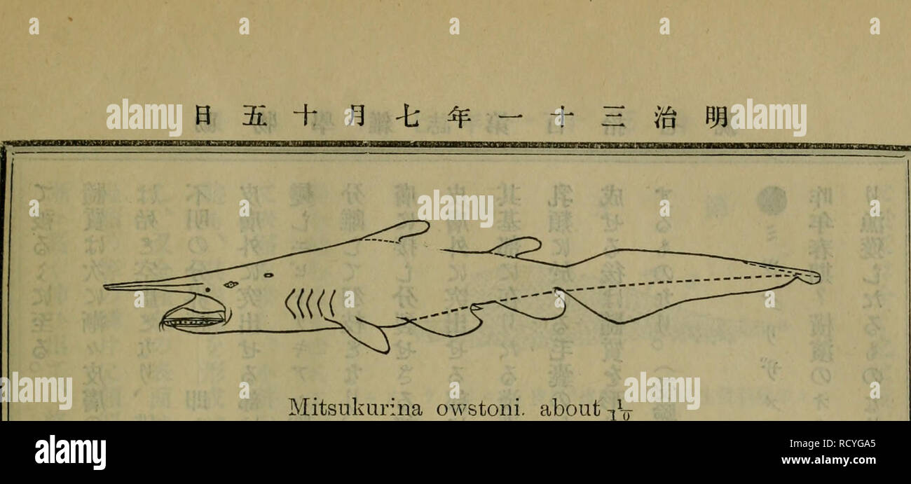 Dbutsugaku Zasshi Zoologia Zoologia C Ae A Aa A Aa Aªa A J Oi Clala David Starraadescri Pcion 01 Una Especie De Fisti Desde Jatdall Tlae Aryj Gt E 01 Una Familia Distinta 01 Llarlnold Stlarls J Tlae Roceedllag S De