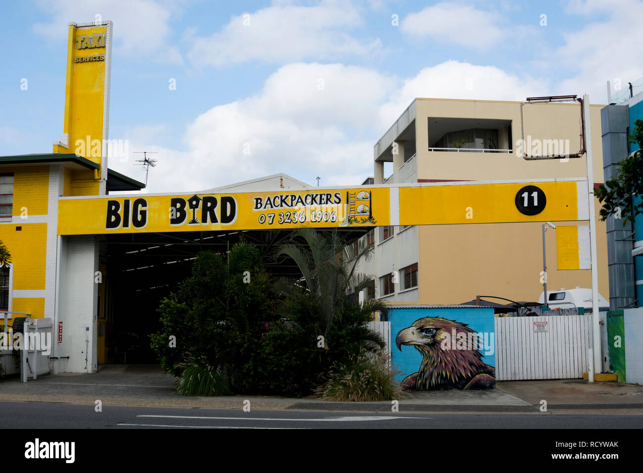 Big Bird, mochileros, Brisbane, Queensland, Australia Foto de stock