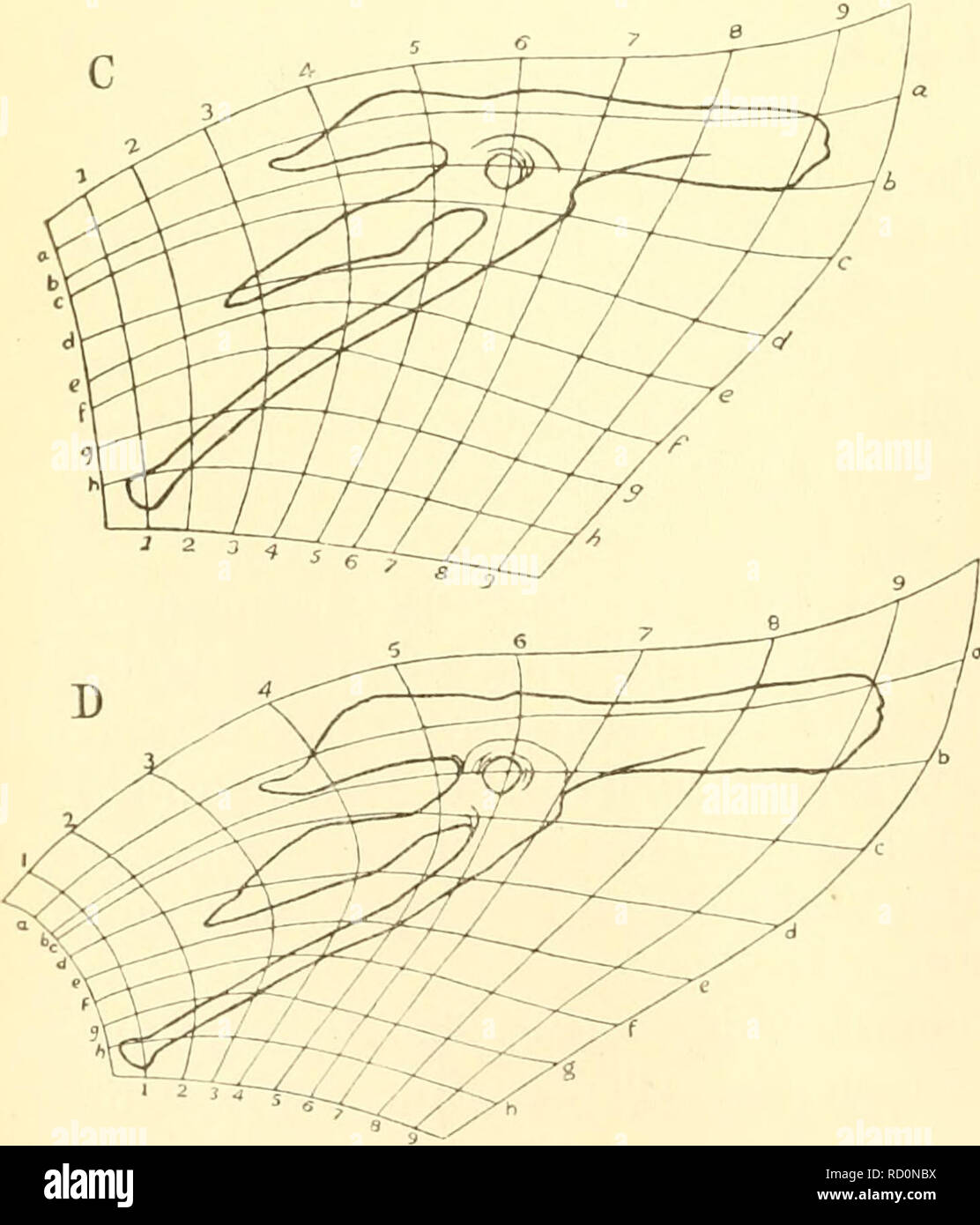 Dansk Ornithologisk Forenings Tidsskrift Las Aves Aves 1 2 5 A C Y 8 F A1 A I I Tat Gt L O C 2 V H J R P A Un Ry