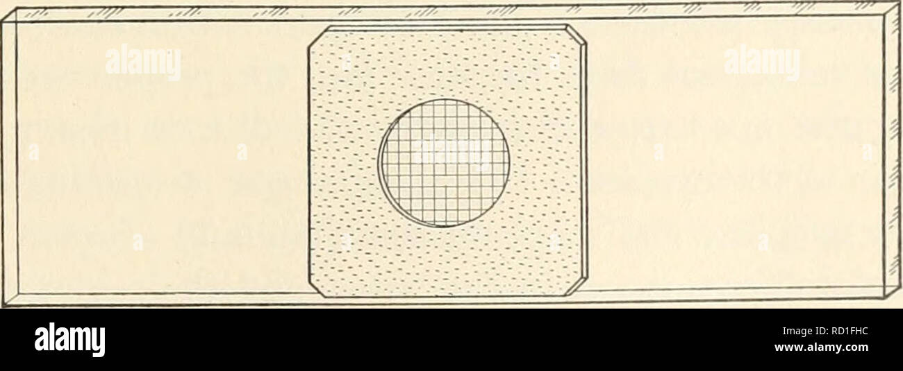 Microscopía química elemental . Fig. 127. Portaobjetos falló en un medio  milímetro cuadrado. En lugar de utilizar un micrómetro ocular net resolvió  algunos micros- copists emplean una diapositiva falló en plazas