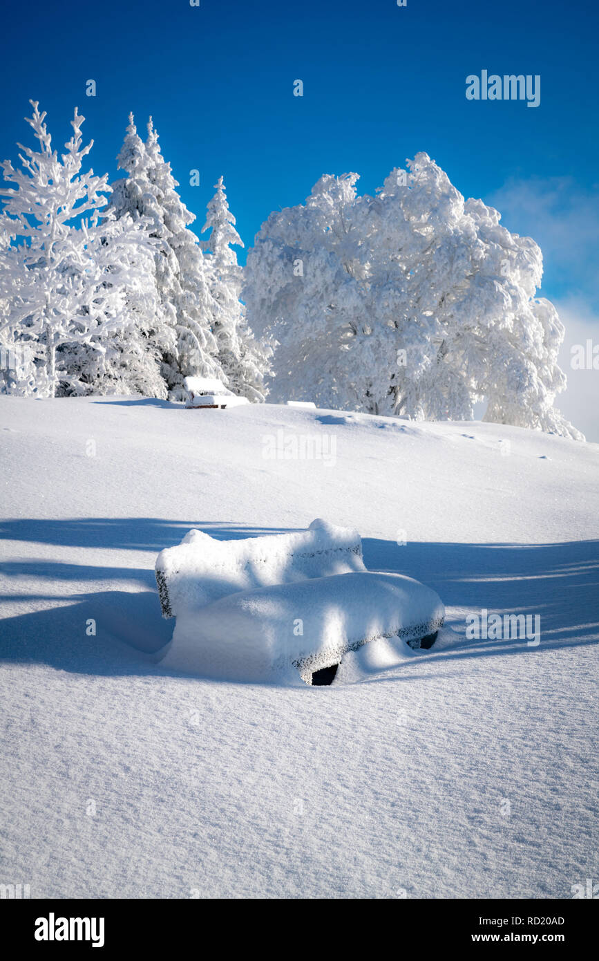 Cubierta de nieve, la banqueta Gaisberg, Salzburgo, Austria Foto de stock